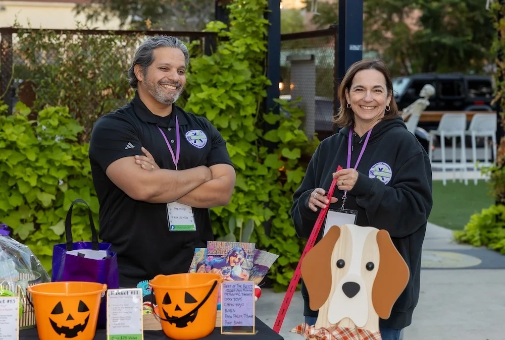 Areas RE Solutions XV Serve