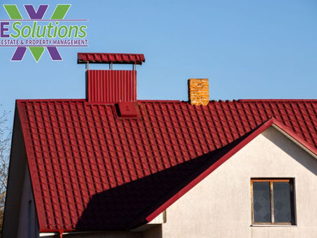 Exploring the Most Popular Types of Properties in San Antonio